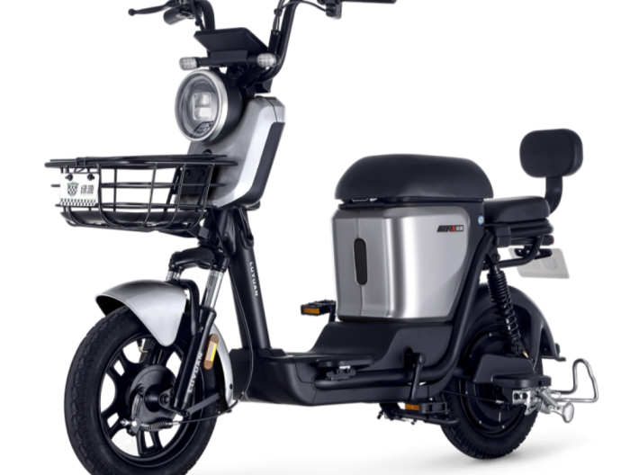 ZFA-EEC-L1